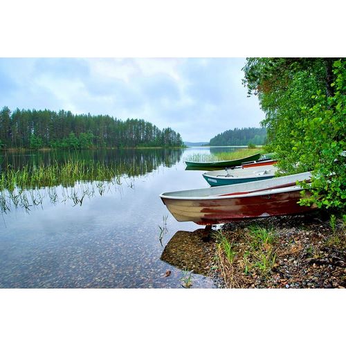 Finlandia-Savonlinna-lake bank and vegetation